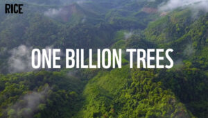 1 Billion Trees | World Wildlife Fund (WWF)
