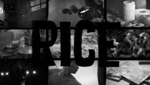 Documentaries Showcase 2021-2022