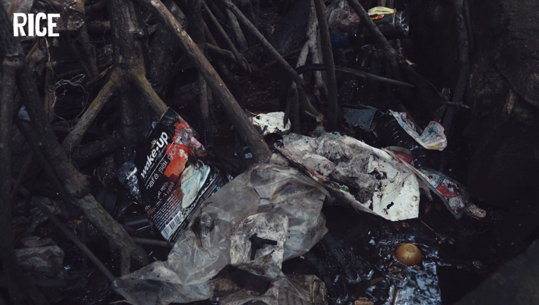 The Trash of Con Dao | World Wildlife Fund
