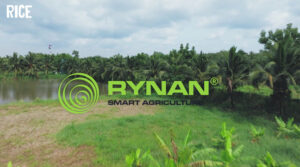 Featured Video Works: Insect Monitoring in Vietnam and Japan - Rynan Technologies Documentary
