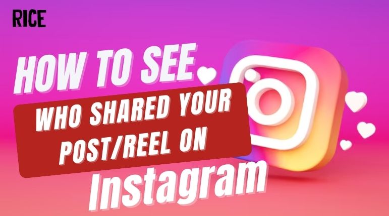 How to See Who Shared Your Post/Reel on Instagram - Updated 2025