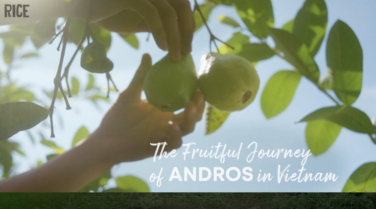 Andros Brand Video: The Fruitful Journey